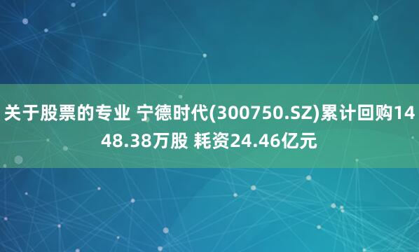 关于股票的专业 宁德时代(300750.SZ)累计回购1448.38万股 耗资24.46亿元